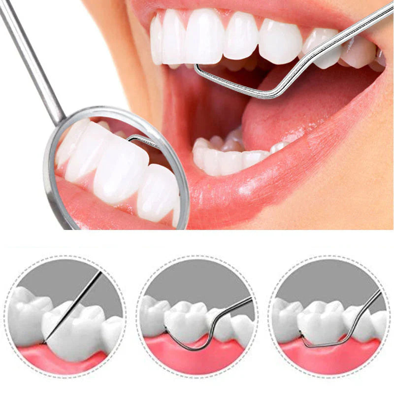 Reusable Stainless Steel Toothpicks with Case